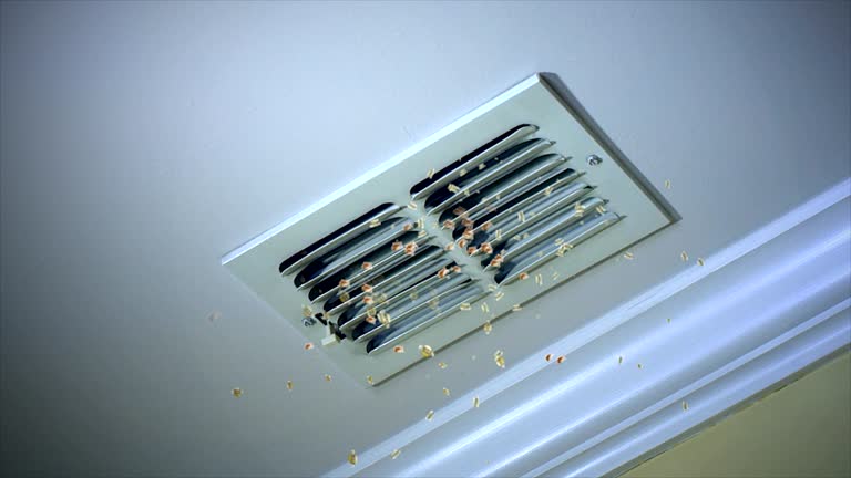 Best Affordable Air Duct Cleaning  in Fern Park, FL