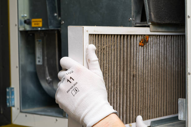 Best HVAC System Cleaning  in Fern Park, FL